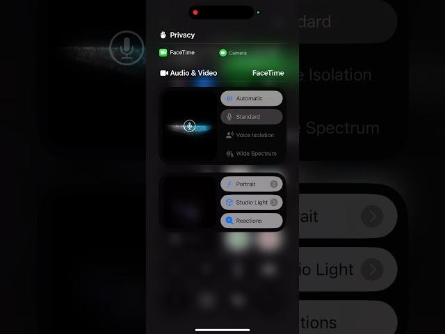 How to Enable Hand Gestures on iPhone (iOS 18.4.1) – Fast!
