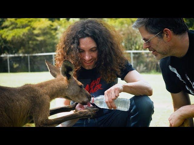 Down Under - NSP