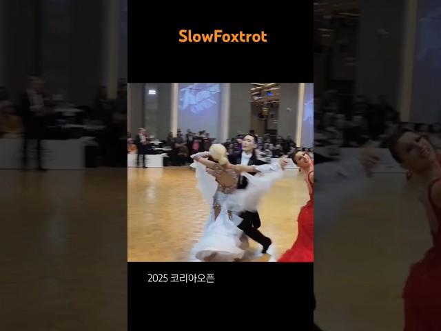 2025 코리아오픈 댄스스포츠 Korea Open Pro Ballroom 3R 당신은누구시길래 #SlowFoxtrot 250222  #wdsf#dancesport#dance