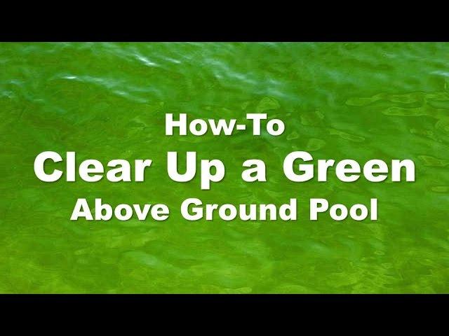 Clearing Up a Green Above Ground Pool (Step-by-Step)