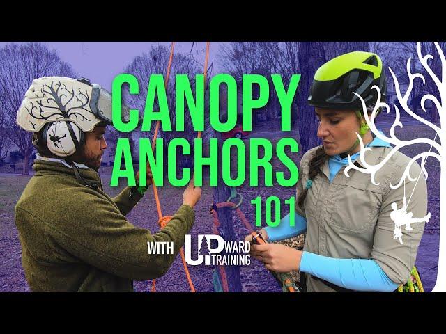 Intro to Canopy Anchors | Professional Tree Climbing 101 with Meg from Upward Training