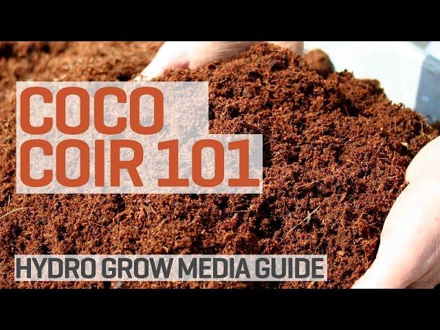 Coco Coir Grow Media Hydroponics 101