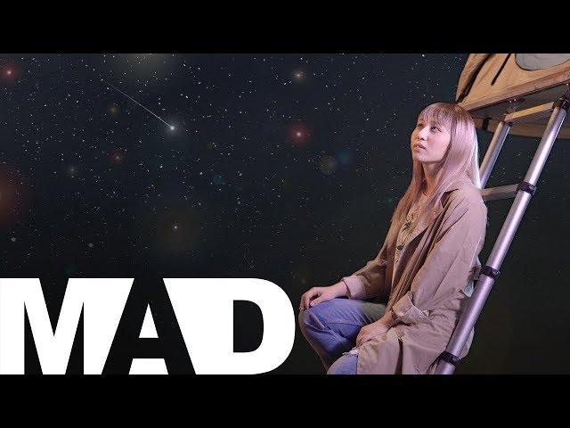 [MAD] Stars - The TOYS  (Cover) l San Bearhug