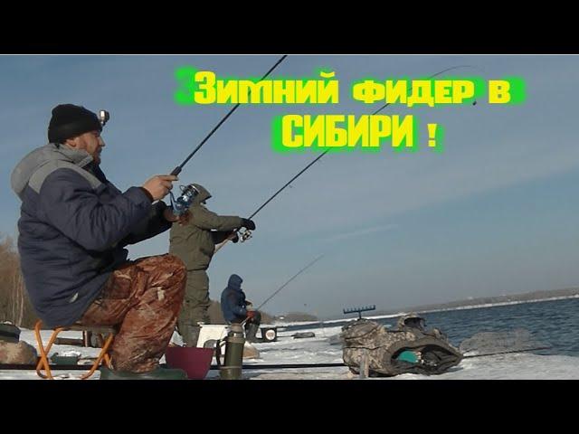 Разведка на Оби. Зимний фидер. Рыбалка на фидер! Feeder fishing in Siberia.