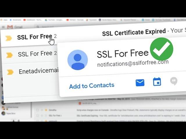 SSL For Free Expired! Here's how to renew SSL Certificate For Website