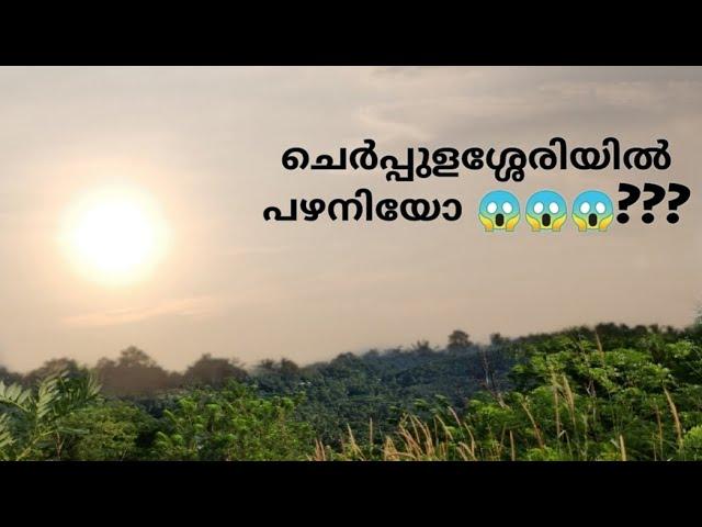 Palani At Palakkad Cherpulassery !!! | ചെർപ്പുളശ്ശേരിയിലെ പഴനി | Puthupalani At kerala | view point