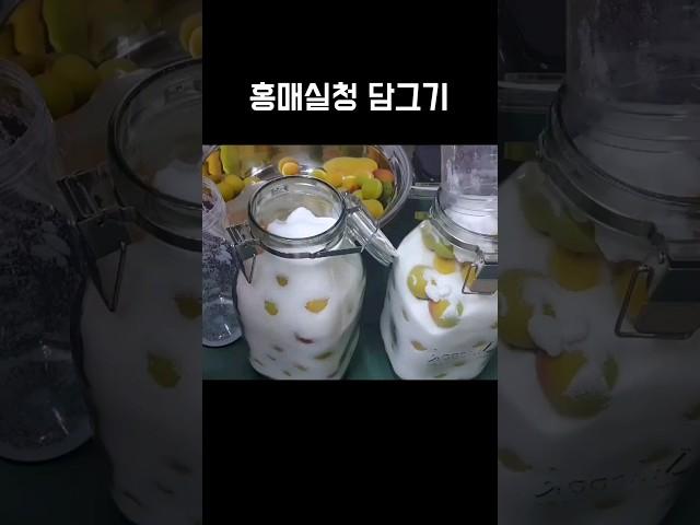 홍매실청 담그기#매실청#홍매실청#매실