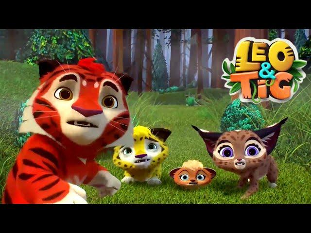 Leo and Tig  The Red Deer  Favorite episodes  Funny Family Good Animated Cartoon for Kids