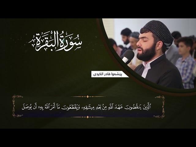 سورة البقرة كاملة و مكتوبة بصوت بيشةوا قادر الكردي -Full surah Al Baqara Peshawa Kurdi