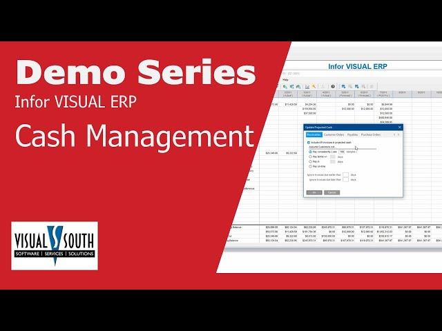 Cash Management – VISUAL ERP Micro Demo