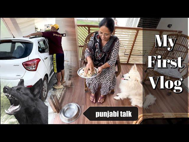 First Vlog | Gaddi da hall dekhlo | Dekho Tyson ne ki karta | Punjabi