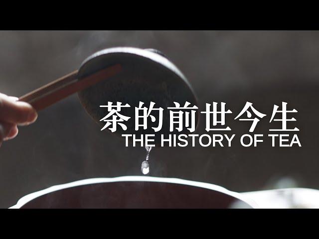 【茶文化系列02】茶的前世今生：如何华丽转身，风靡全球，成为世界第一大饮品？