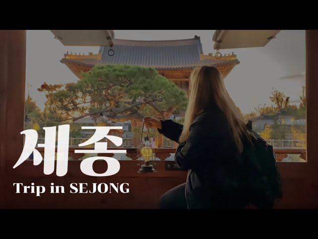 나 혼자 세종 당일치기 여행 | 국립세종수목원 야간개장 | 이응다리 | Trip in Sejong