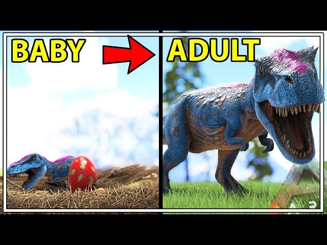 GROWING FROM A BABY REX INTO AN ADULT  | PLAY AS DINO | ARK SURVIVAL EVOLVED