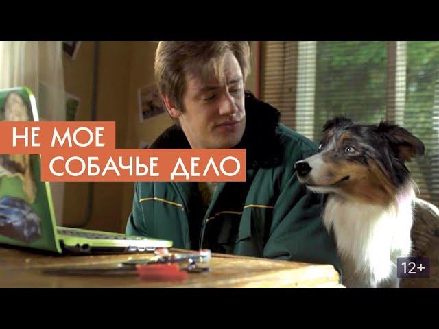 фильм не мое собачье дело #фильмдлясемьи #фильмы #фильмпрособак #фильмнавечер