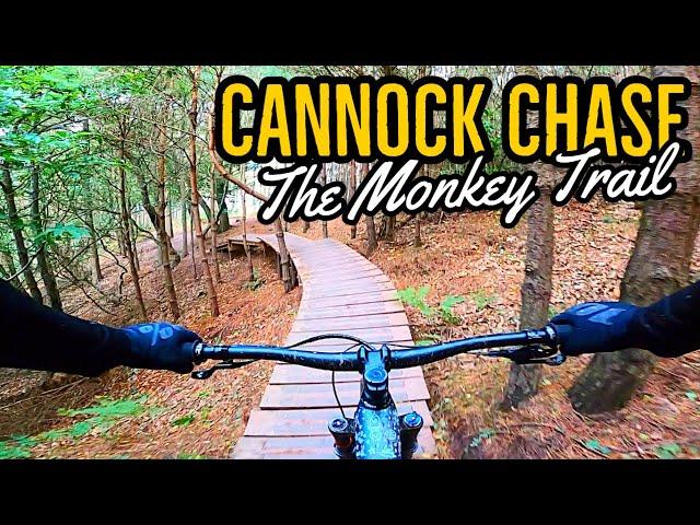 Riding The Monkey Trail, Cannock Chase
