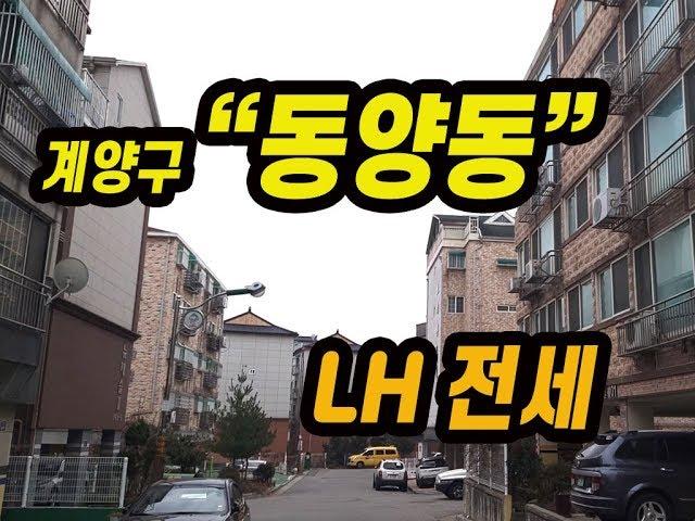 (115) 계양구 동양동 LH전세 1억1000만원