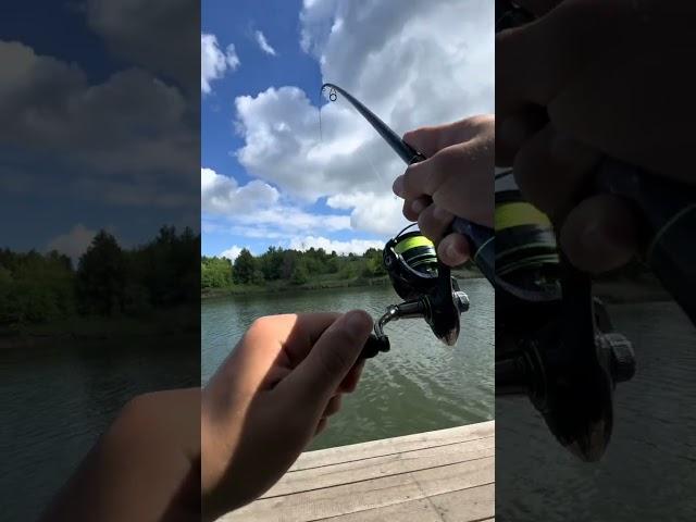 #микроджиг #рыбалка #fishing #рыбалканаозере #ультролайт