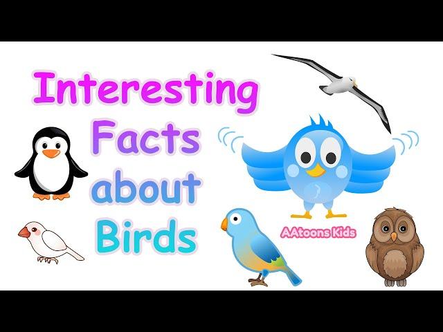 The Most Interesting Facts About Birds | 20 facts about birds | Fun Facts for Kids | @AAtoonsKids