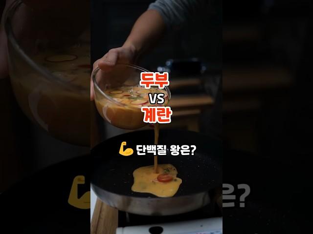 두부 VS 계란 단백질 왕은? #내몸건강 #지식 #꿀팁 #건강 #건강정보 #shorts