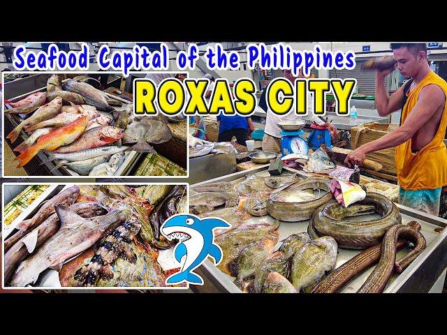 Unveiling the Seafood Capital of the Philippines: ROXAS CITY PUBLIC MARKET and  Bountiful Offerings