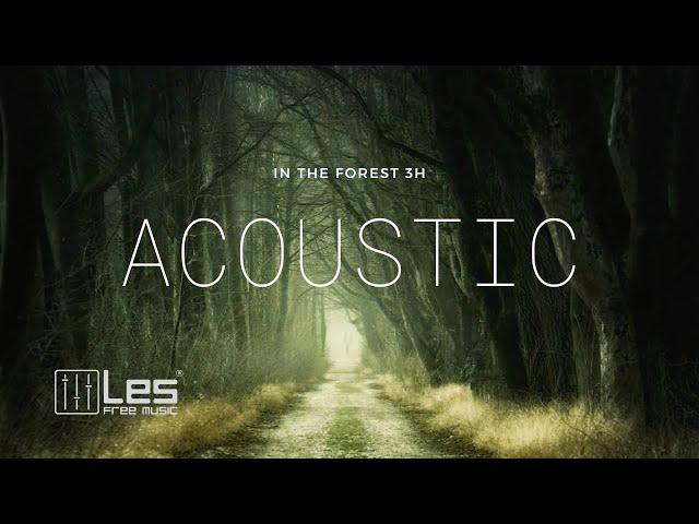 In The Forest 3H  : Study Sleep Relax Acoustic Background Music