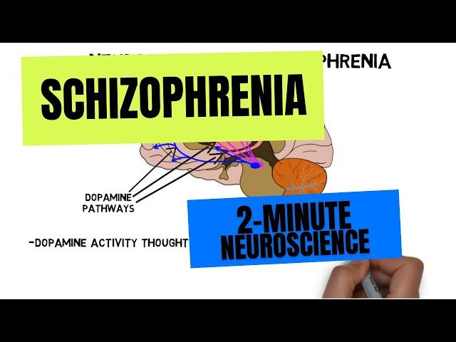 2-Minute Neuroscience: Schizophrenia