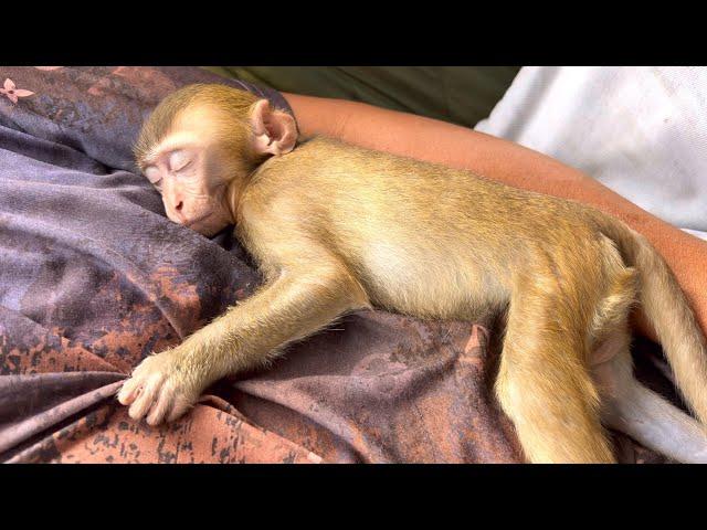 Cute BiBi Nap with Dad & afternoon walk in the garden