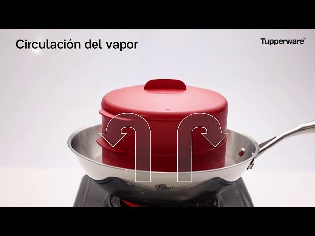 Tupperware Steam IT