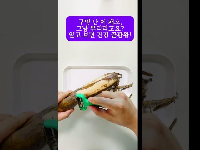 구멍 난 이 채소, 그냥 뿌리라고요? 알고 보면 건강 끝판왕! #연근 #건강채소