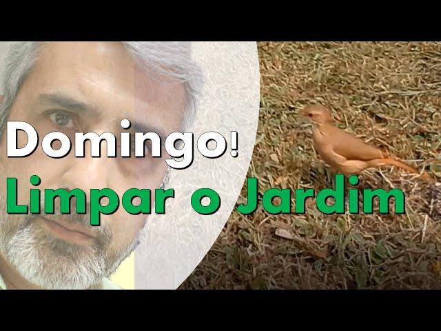 Limpeza de jardim com cortador de grama