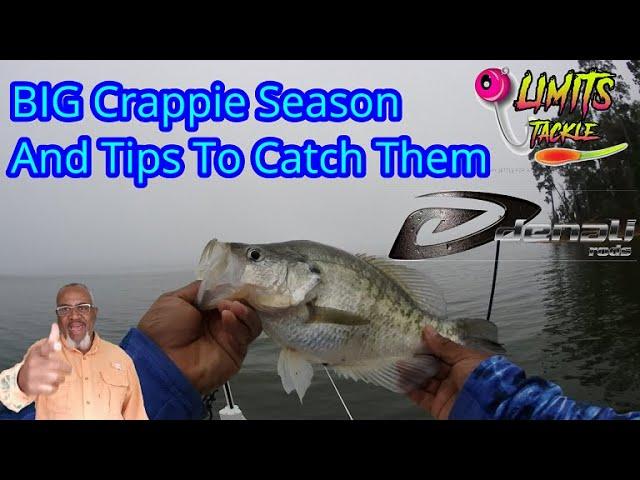 Fall to Winter Crappie Fishing - Tips To Catch Crappie