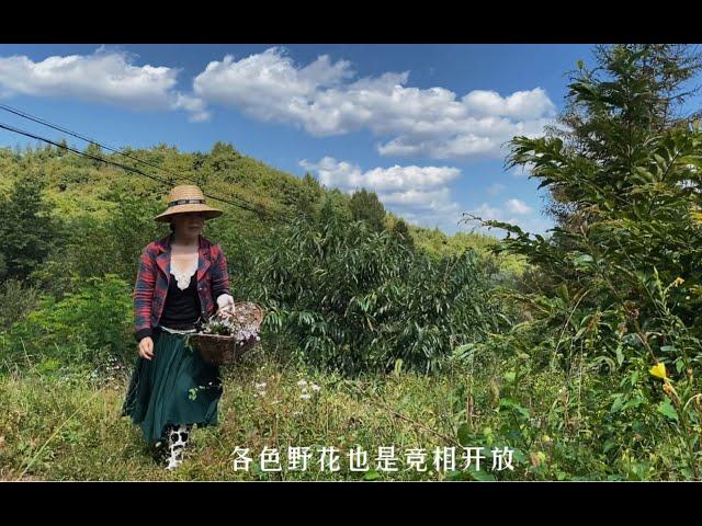 北方李子柒的原生态生活，一个人在大山里生活第三年的惬意时光。