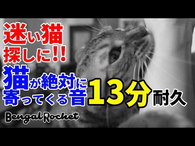 【迷い猫に!!】100万回再生突破 猫が絶対に寄って来る音13分耐久 【ベンガルロケット】