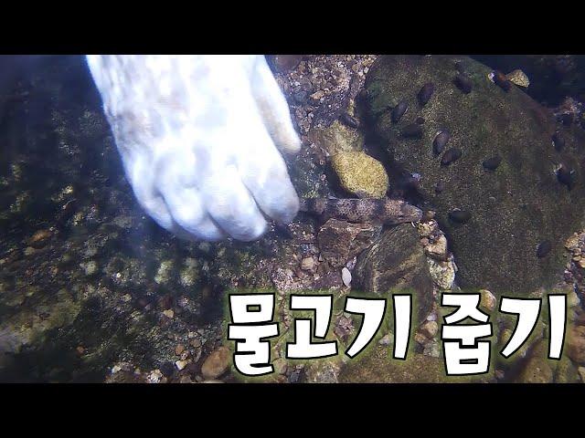 라면 하나 들고 나온 1박2일 캠핑~ 계곡에서 맛있는 안주를 잡아서 소주 한 잔 ~ !