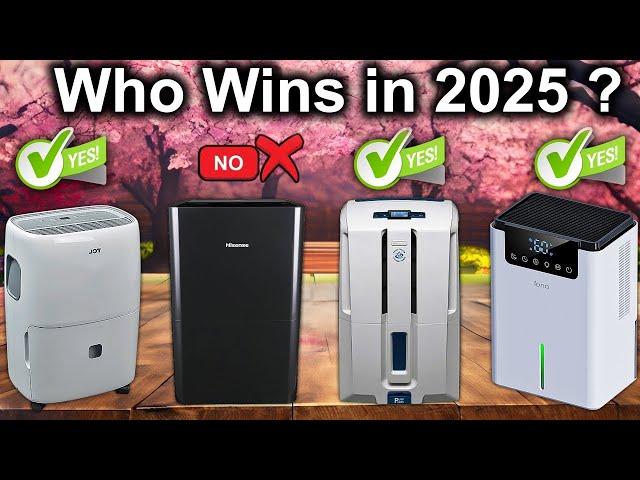 5 Best Dehumidifiers of 2025, Tested by Experts on Amazon