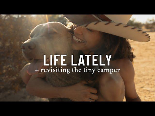 Life Lately + The Camper Comeback Begins ️