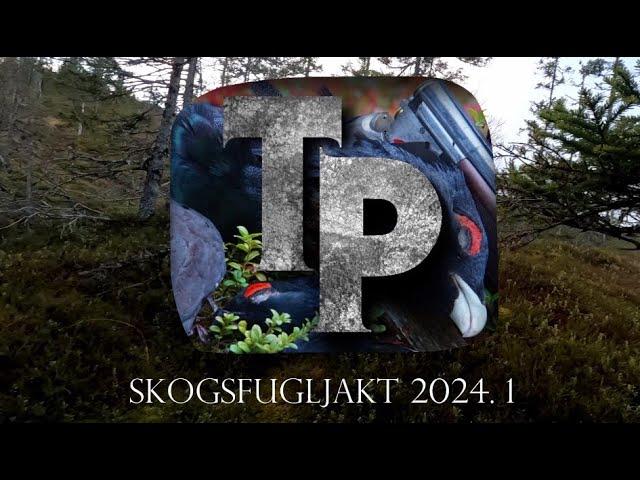 skogsfugljakt 2024 || 1