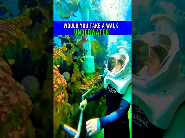 Would you walk underwater for this? #abudhabi #seaworldabudhabi #underwater #funthingstodo