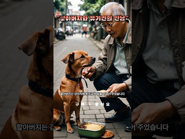 "할아버지와 유기견의 만남" #감동#이야기#명언#좋은글#좋은말#이해#지식