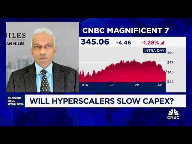 Spending slowdown in capex will be 'big problem' for Mag 7, says Dan Niles