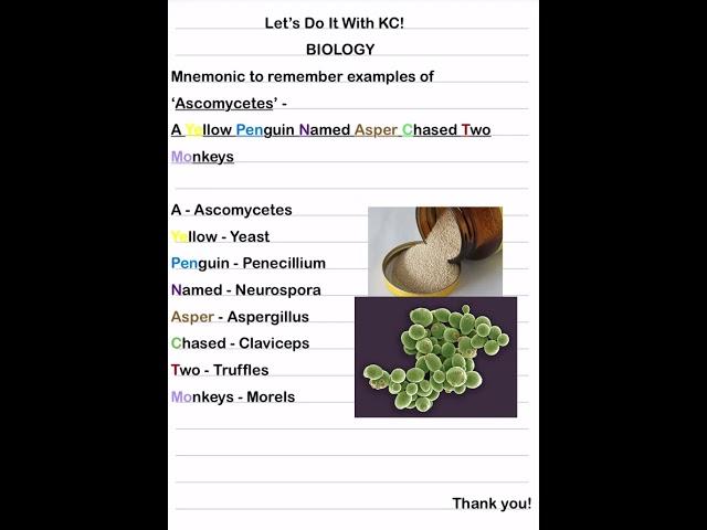 Mnemonic to remember examples of “Ascomycetes” #mnemonics#shorts#viral#trending#education#botany