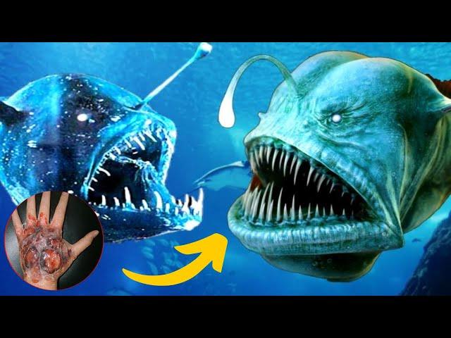 The Deadliest Fish You Could Ever Encounter | Top 10 Dangerous Fishes in the world