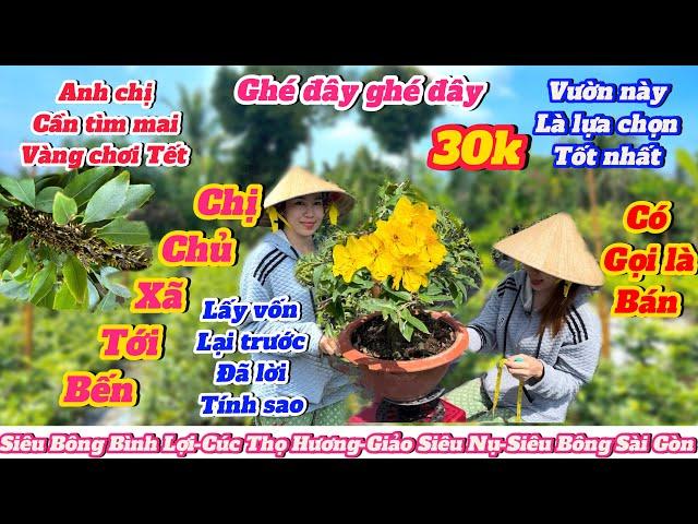 10-11️0907160042 gặp NhưMai vàng chơi tếtXã hàng 30kMời cả nhà vào xem clip ủng hộ nhà vườn