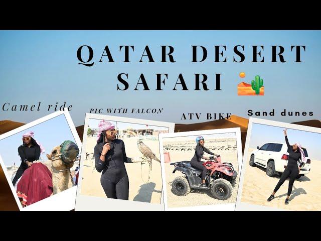 Desert safari tour: Atv bike,camel ride ,falcons,sand dunes,sandboarding and lunch with colleagues.