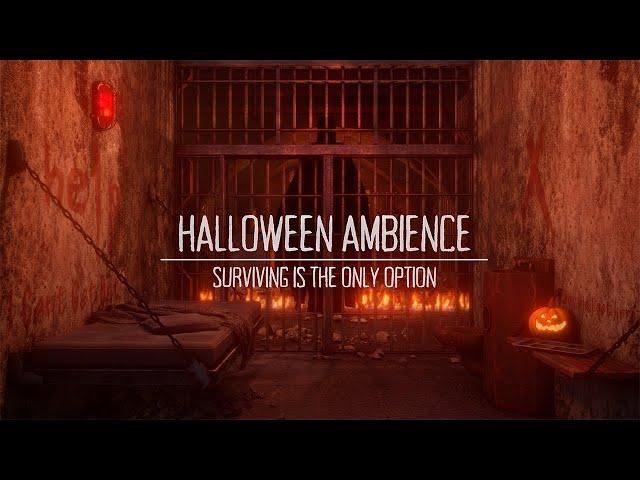 Trapped in Abandoned Prison Cell: Survive the Night or Face the Unknown | Halloween Horror Ambience