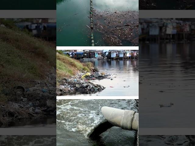 Rivers Are Mothers, Not Dumpyards  | Wake Up Call!