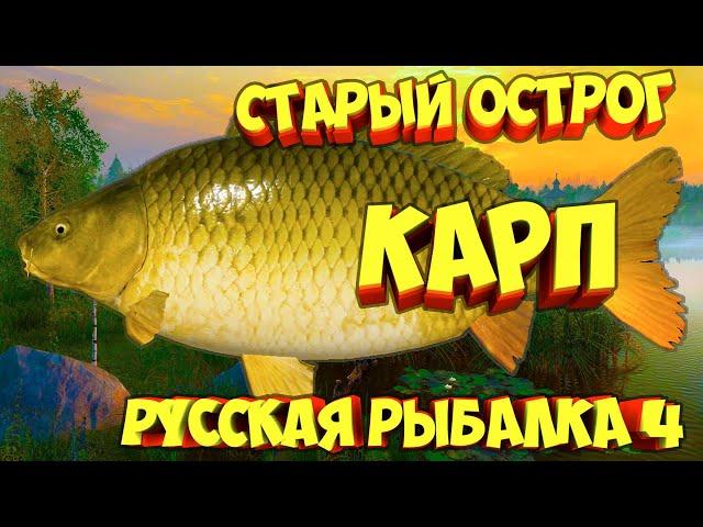 русская рыбалка 4 - Карп озеро Старый Острог - рр4 фарм Алексей Майоров russian fishing 4