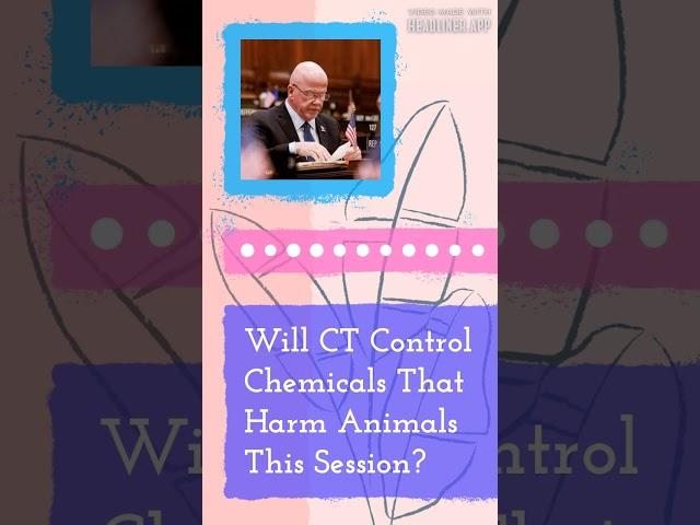 Will CT Control Chemicals That Harm Animals This Session? | The Lisa Wexler Show