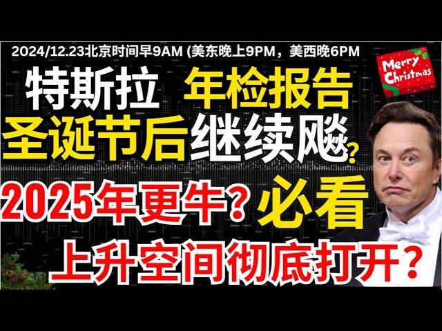 【特斯拉年检干货专辑】特斯拉年检报告出炉了，圣诞后继续飚？明天的运程几何，特斯拉投资者必看，有额外惊喜#特斯拉 #特斯拉股票 #美股 #股哥说美股 #tesla #马斯克 #美股复盘